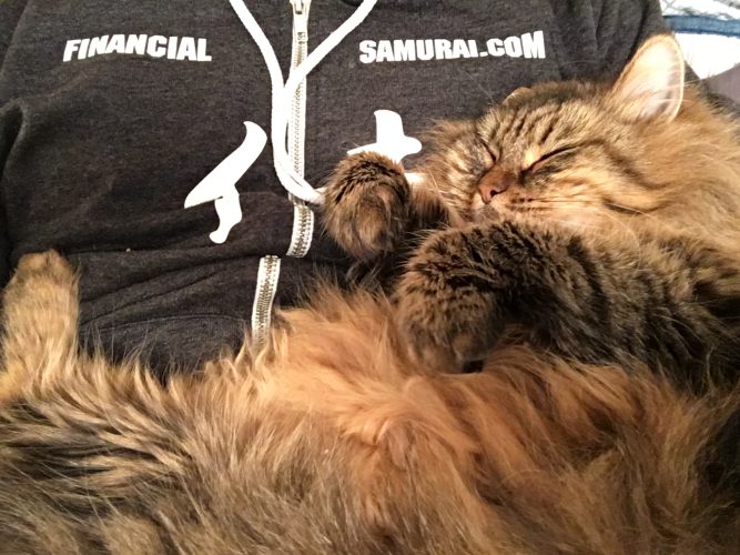 The economics of being a childless cat lady or gentlemen, financial samurai's cat